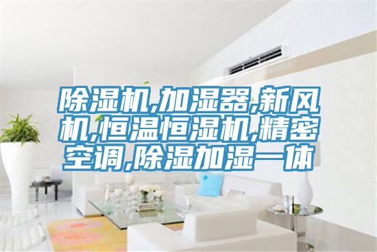 除湿机,加湿器,新风机,恒温恒湿机,精密空调,除湿加湿一体