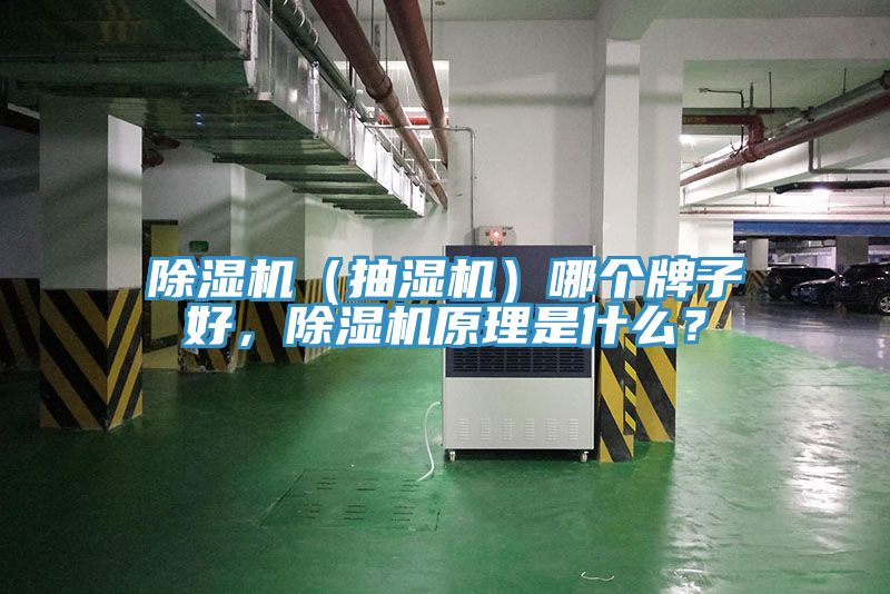 除湿机（抽湿机）哪个牌子好，除湿机原理是什么？