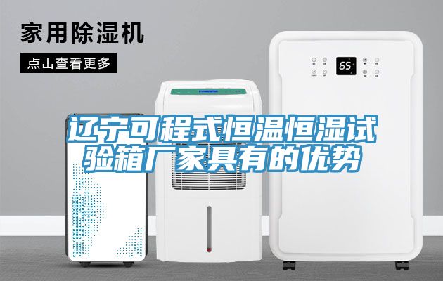 辽宁可程式恒温恒湿试验箱厂家具有的优势