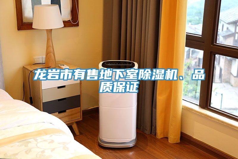龙岩市有售地下室除湿机、品质保证