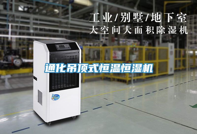 通化吊顶式恒温恒湿机