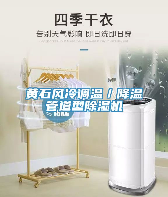 黄石风冷调温／降温管道型除湿机
