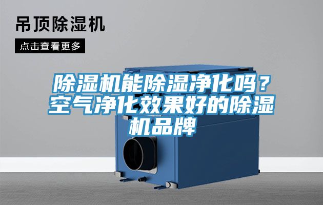 除湿机能除湿净化吗？空气净化效果好的除湿机品牌