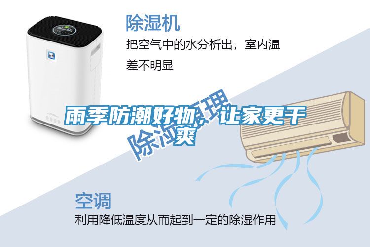 雨季防潮好物，让家更干爽