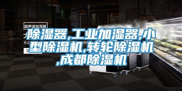 除湿器,工业加湿器,小型除湿机,转轮除湿机,成都除湿机
