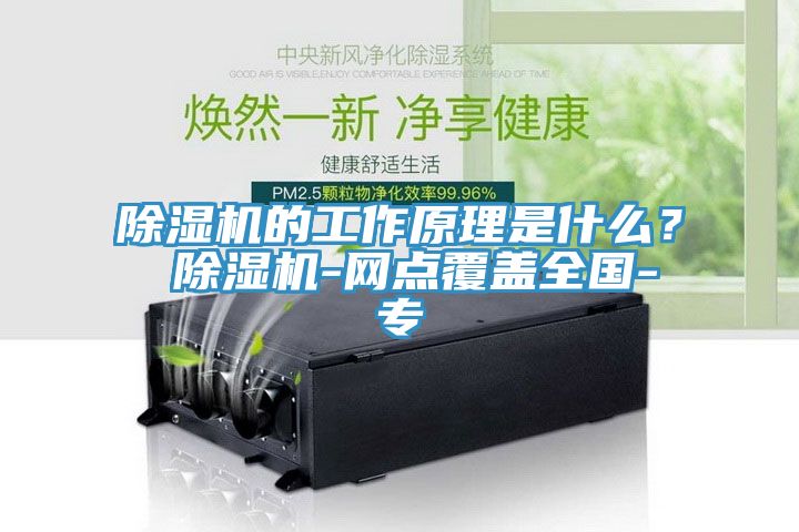 除湿机的工作原理是什么？ 除湿机-网点覆盖全国-专