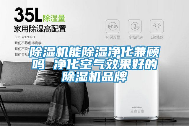除湿机能除湿净化兼顾吗 净化空气效果好的除湿机品牌