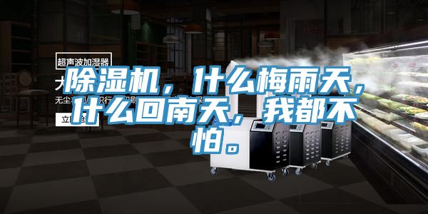 除湿机，什么梅雨天，什么回南天，我都不怕。