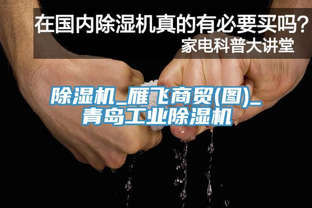 除湿机_雁飞商贸(图)_青岛工业除湿机