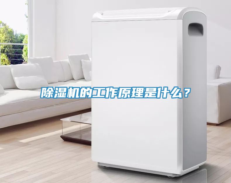 除湿机的工作原理是什么？