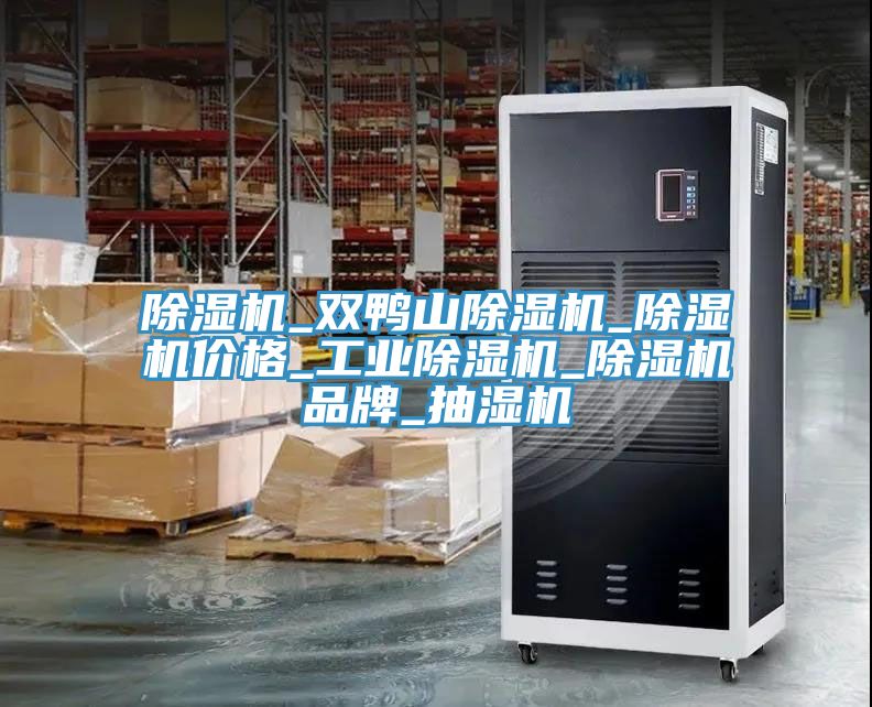除湿机_双鸭山除湿机_除湿机价格_工业除湿机_除湿机品牌_抽湿机