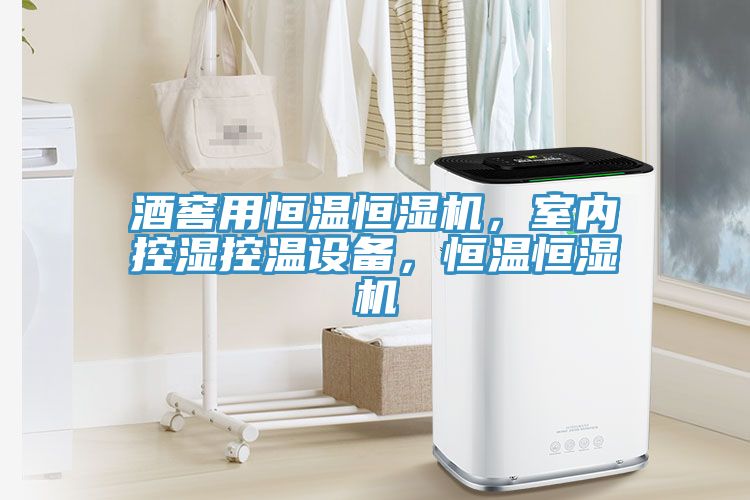 酒窖用恒温恒湿机，室内控湿控温设备，恒温恒湿机
