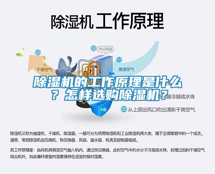 除湿机的工作原理是什么？怎样选购除湿机？