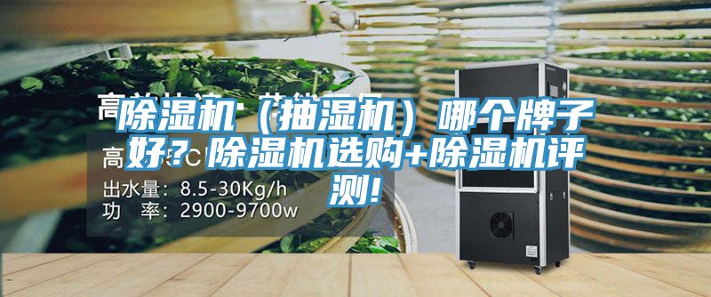 除湿机（抽湿机）哪个牌子好？除湿机选购+除湿机评测!