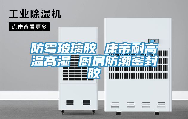 防霉玻璃胶 康帝耐高温高湿 厨房防潮密封胶