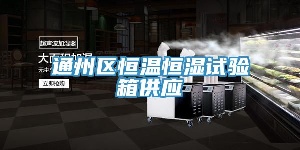 通州区恒温恒湿试验箱供应