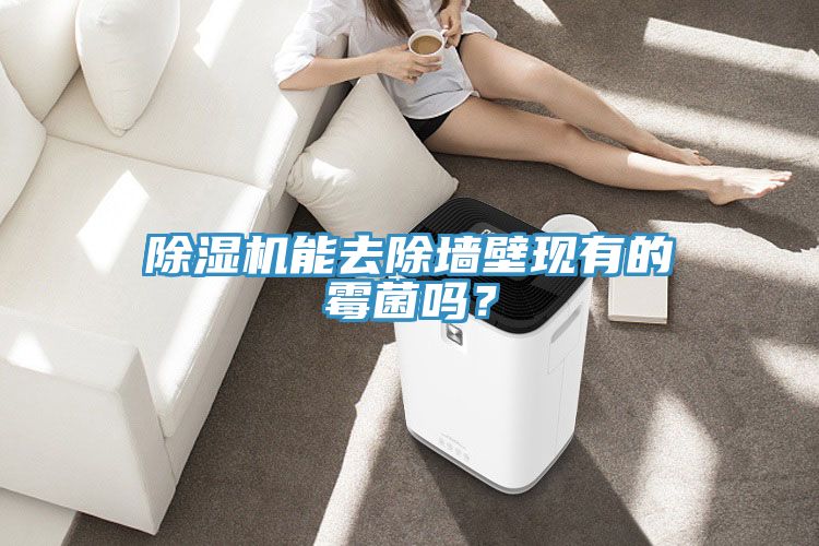 除湿机能去除墙壁现有的霉菌吗？