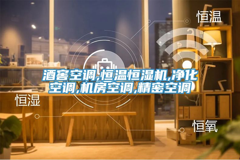酒窖空调,恒温恒湿机,净化空调,机房空调,精密空调