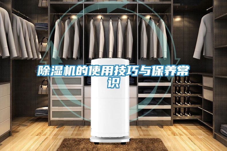 除湿机的使用技巧与保养常识