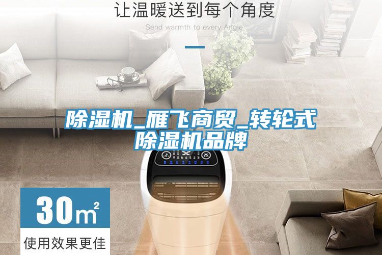 除湿机_雁飞商贸_转轮式除湿机品牌