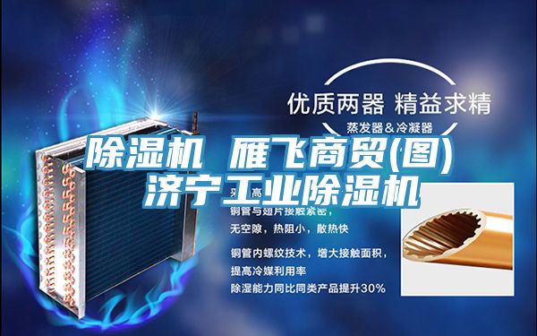 除湿机 雁飞商贸(图) 济宁工业除湿机