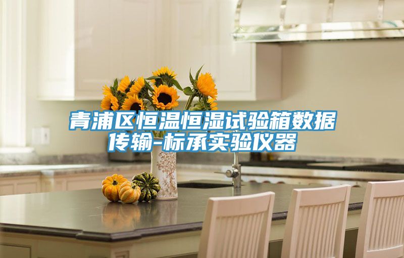 青浦区恒温恒湿试验箱数据传输-标承实验仪器