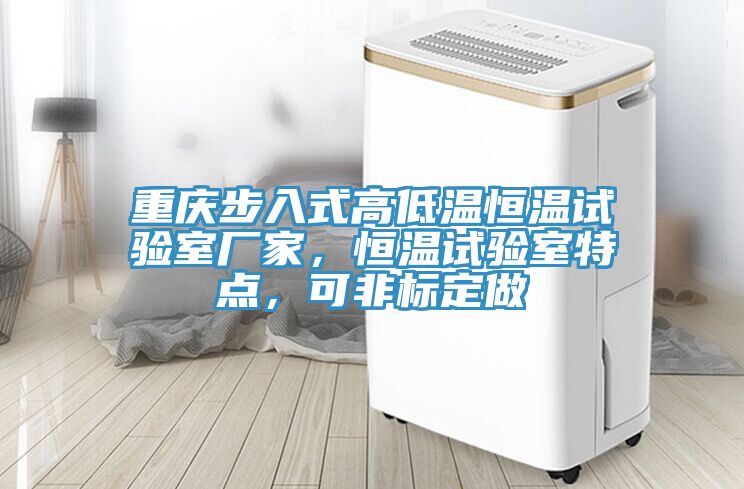 重庆步入式高低温恒温试验室厂家，恒温试验室特点，可非标定做