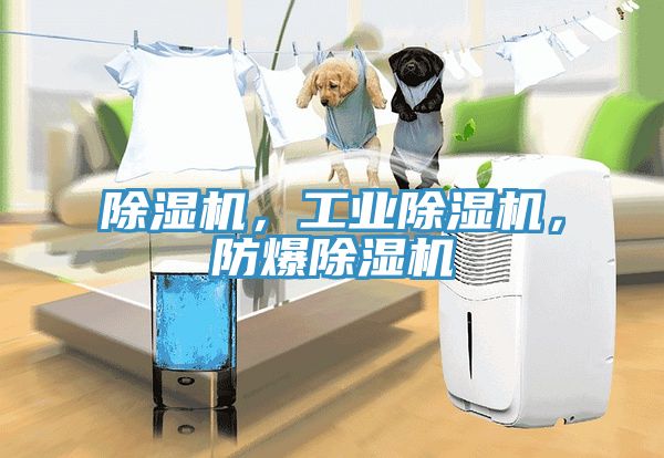 除湿机，工业除湿机，防爆除湿机