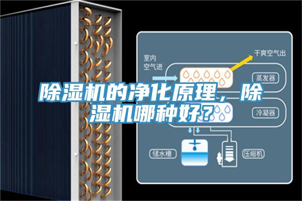 除湿机的净化原理，除湿机哪种好？
