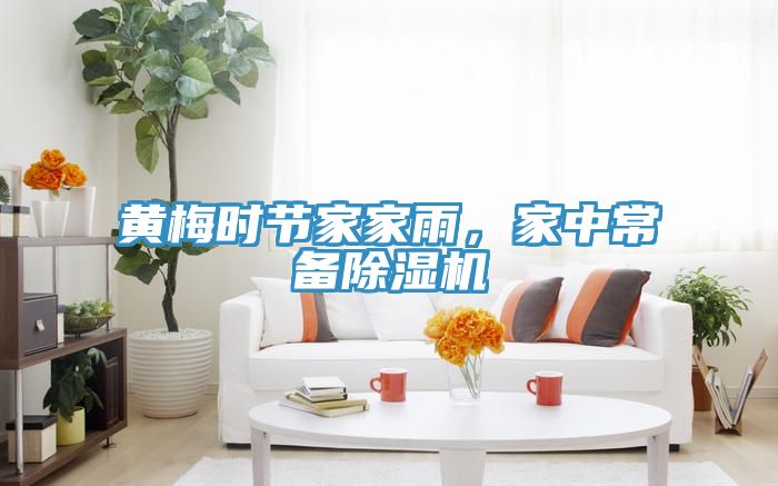 黄梅时节家家雨，家中常备除湿机