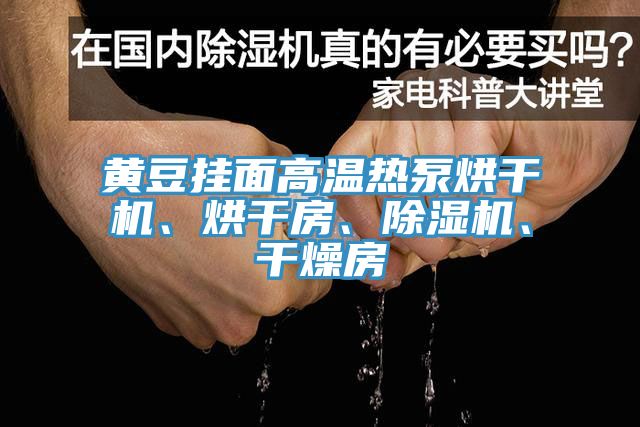 黄豆挂面高温热泵烘干机、烘干房、除湿机、干燥房