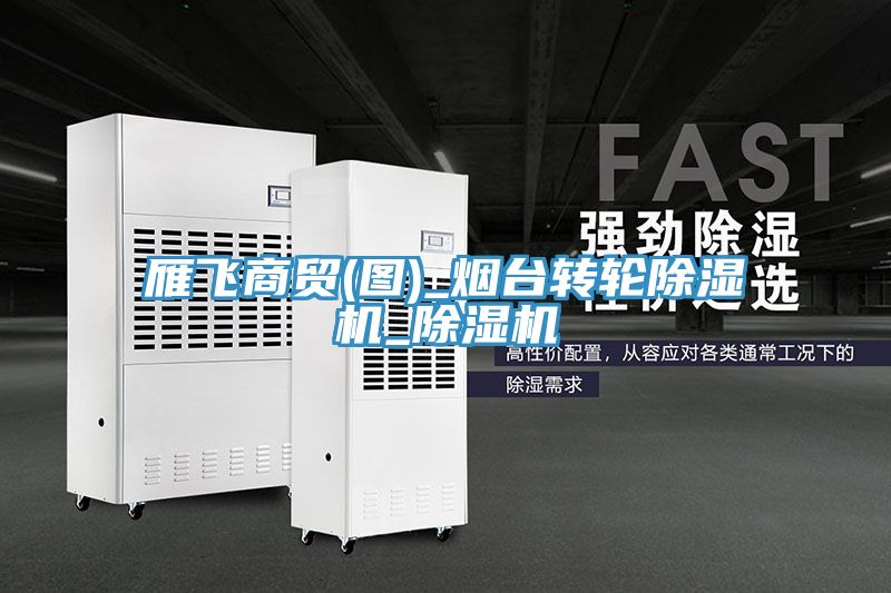 雁飞商贸(图)_烟台转轮除湿机_除湿机