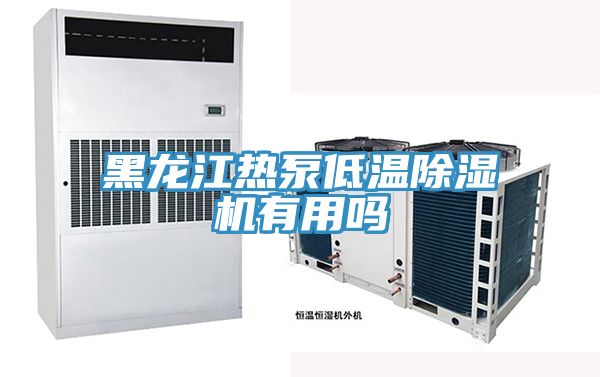 黑龙江热泵低温除湿机有用吗