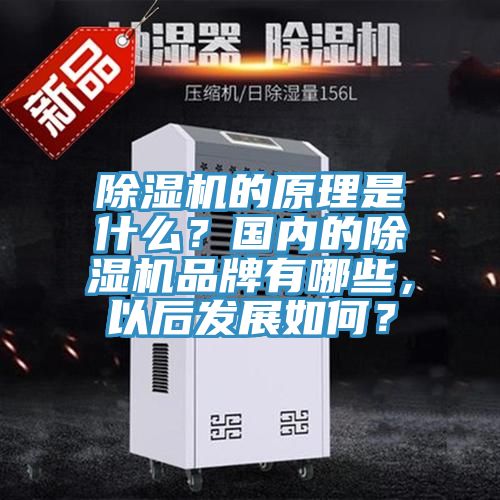 除湿机的原理是什么？国内的除湿机品牌有哪些，以后发展如何？