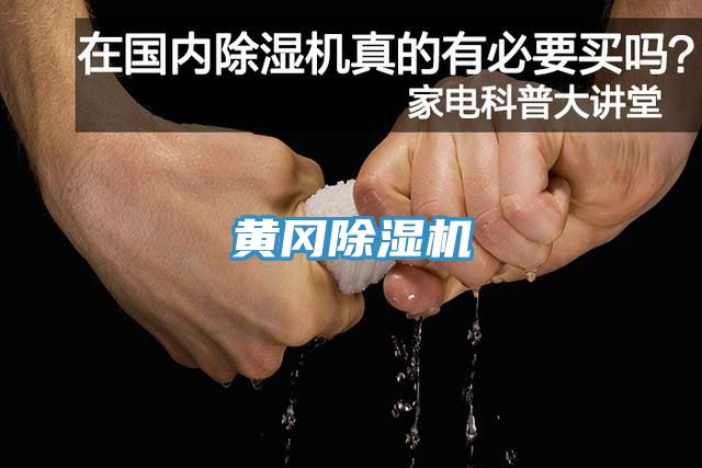 黄冈除湿机
