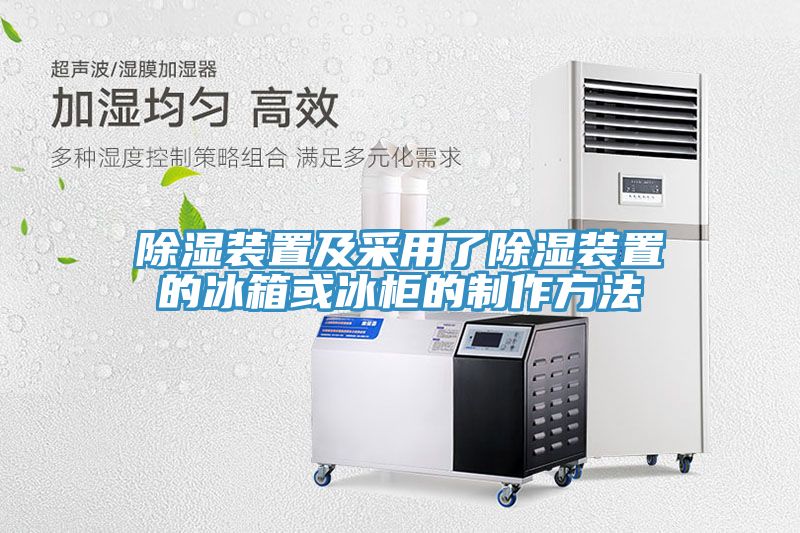 除湿装置及采用了除湿装置的冰箱或冰柜的制作方法