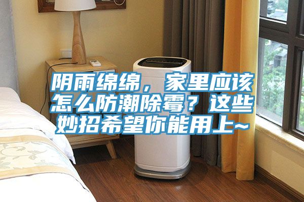 阴雨绵绵，家里应该怎么防潮除霉？这些妙招希望你能用上~