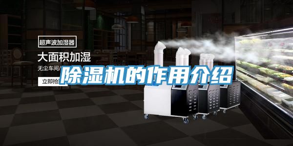 除湿机的作用介绍
