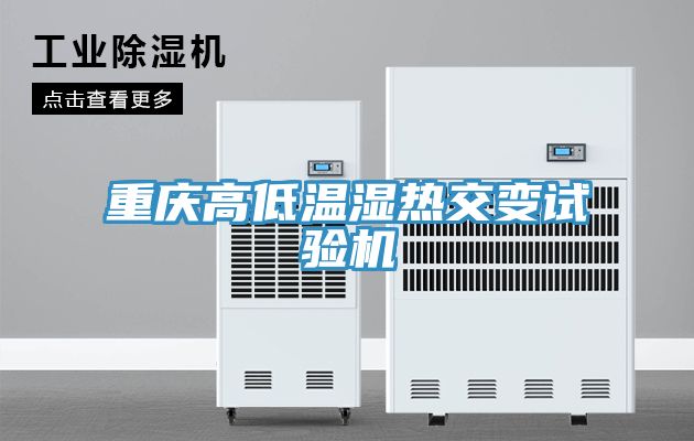 重庆高低温湿热交变试验机