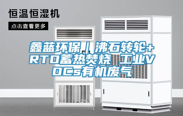 鑫蓝环保｜沸石转轮+RTO蓄热焚烧 工业VOCs有机废气