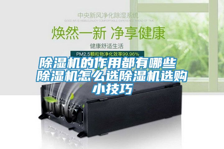 除湿机的作用都有哪些 除湿机怎么选除湿机选购小技巧