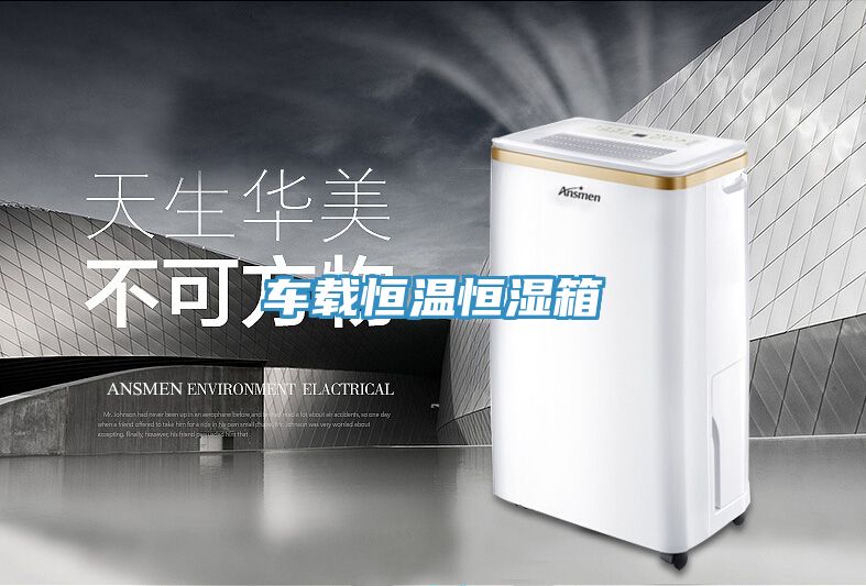 车载恒温恒湿箱