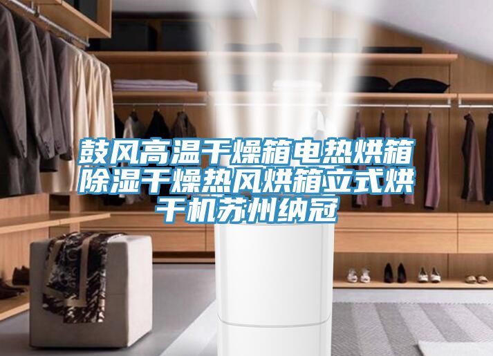 鼓风高温干燥箱电热烘箱除湿干燥热风烘箱立式烘干机苏州纳冠