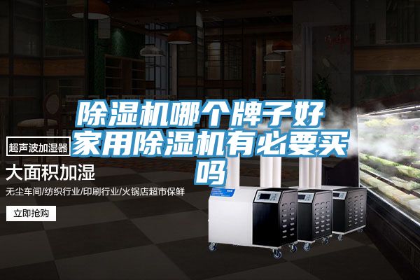 除湿机哪个牌子好 家用除湿机有必要买吗
