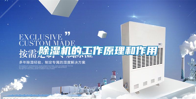 除湿机的工作原理和作用
