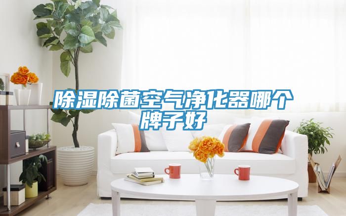 除湿除菌空气净化器哪个牌子好