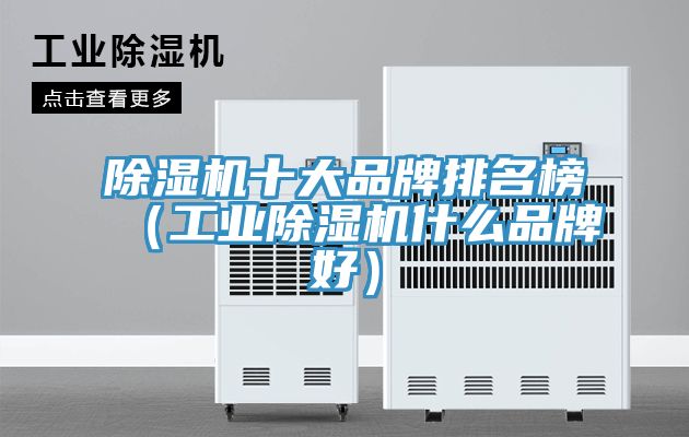 除湿机十大品牌排名榜（工业除湿机什么品牌好）