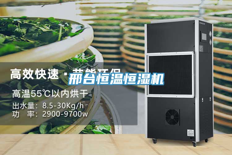 邢台恒温恒湿机