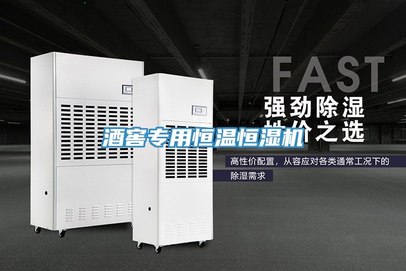 酒窖专用恒温恒湿机