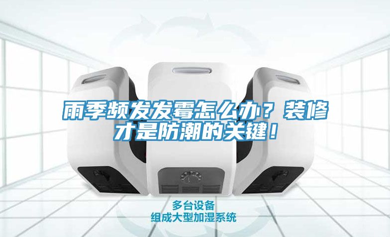 雨季频发发霉怎么办？装修才是防潮的关键！